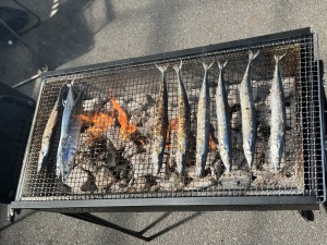 2024-BBQ